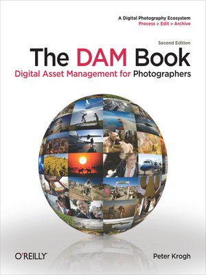 cover image of The DAM Book